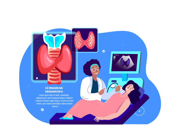 Endocrinologist Ultrasound Doctor Sonographer Examine Patient on Ultrasound Investigation.Thyroid Pathology,Anomalous Gland,Pineal Organ.Medical Hospital Diagnostics Treatment.Flat Vector Illustration Endocrinologist Ultrasound Doctor Sonographer Examine Patient on Ultrasound Investigation.Thyroid Pathology,Anomalous Gland,Pineal Organ.Medical Hospital Diagnostics Treatment.Flat Vector Illustration thyroid gland stock illustrations