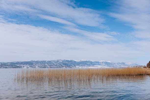 Reeds in lake with mountains in the background
