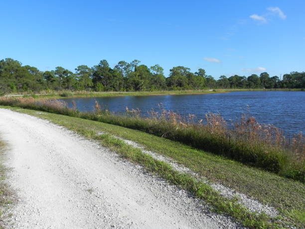 istock Rural Florida with blue sky 1303002910