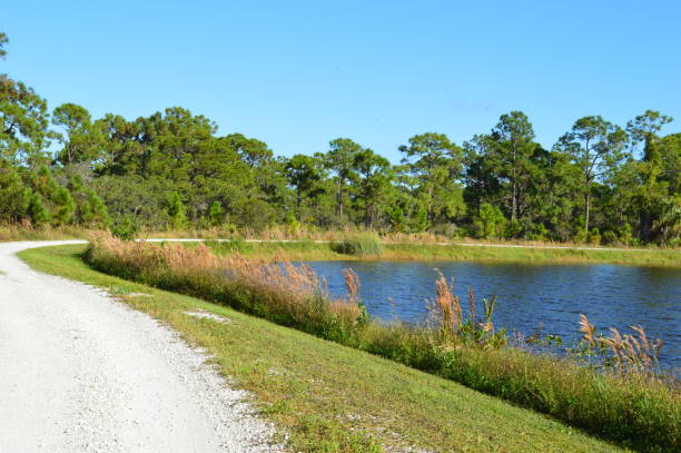 istock Rural Florida landscape 1303003541