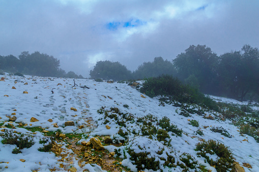 Día nevado, en el monte Adir, photo