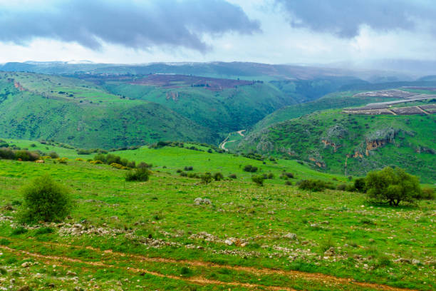 istock View of the Dishon valley, Upper Galilee 1303003605