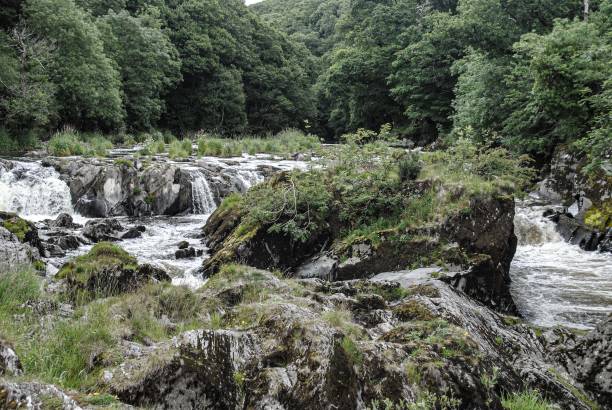 Cenarth fall wales Cebnnarth falls  on the  border  of  Pembrokeshire teifi river stock pictures, royalty-free photos & images