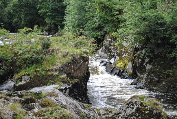 Cenarth fall wales Cebnnarth falls  on the  border  of  Pembrokeshire teifi river stock pictures, royalty-free photos & images