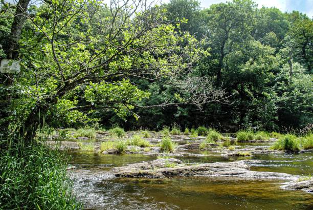 Cenarth fall wales Cebnnarth falls  on the  border  of  Pembrokeshire teifi river stock pictures, royalty-free photos & images