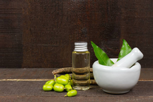 neem oil in bottle and neem leaf in mortar and pestle - azadirachta indica imagens e fotografias de stock