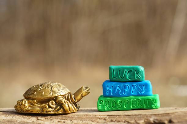 istock Metal turtle close-up. 1303005671