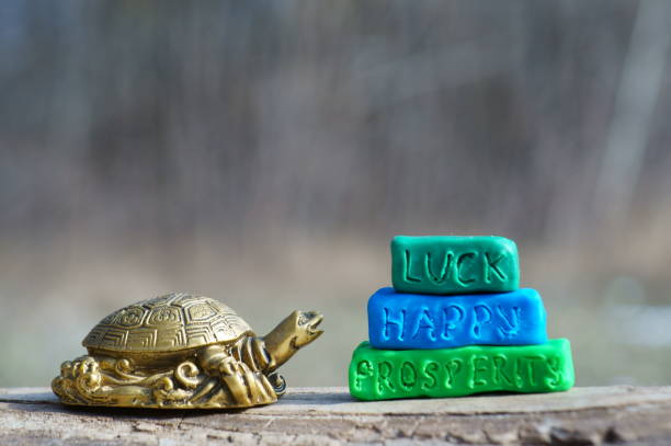istock Metal turtle close-up. 1303006187