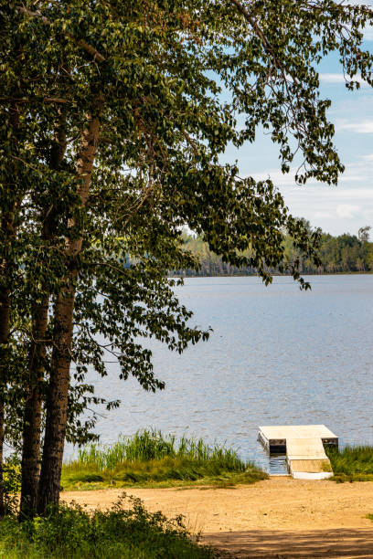 istock Kiever lake through the trees. Kneehill County, Alberta, Canada 1303006589