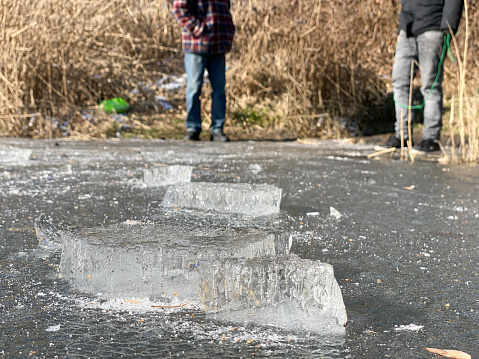 Piece of Ice floe on the pond during a skating afternoon