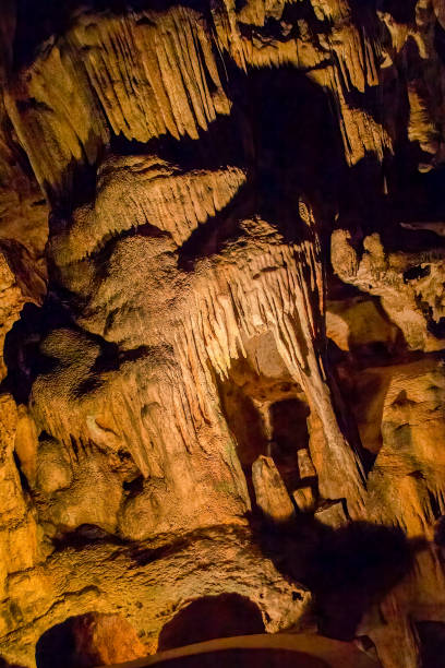 istock Close up of Curacao Caves stalactite 1303007821