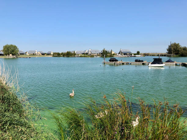 istock Holiday villas by the water 1303008207
