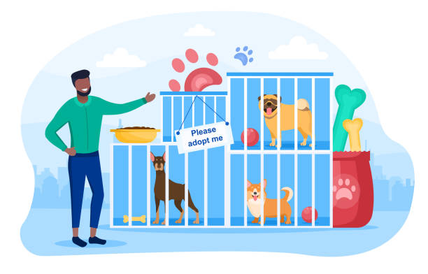 Male character is working in dog shelter Male character is working in dog shelter. Homeless dogs in cages are waiting to be adopted. Concept of animal shelter, rescues for pet adoption. Flat carton vector illustration animal shelter stock illustrations