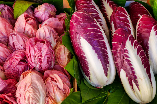 hojny kosz z treviso radicchio - chicory zdjęcia i obrazy z banku zdjęć