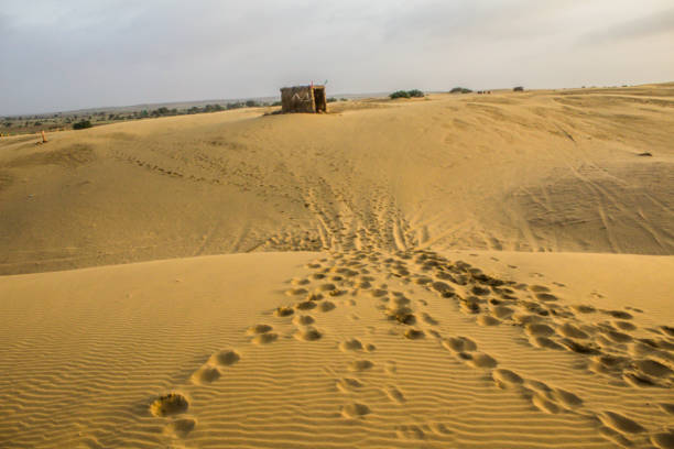 istock Various views of the Sam's sand dunes 1303018311