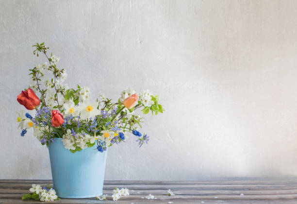 istock spring flowers in blue bucket on white background 1303019409