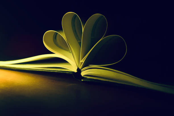 Love - Emotion romance paper cut in bloom