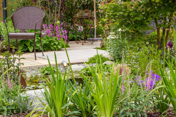 istock Beautiful water garden 1303020651