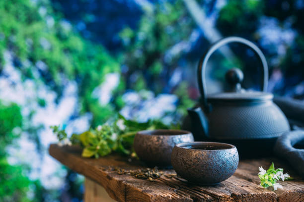緑茶2杯 - tea cup tea cup herbal medicine ストックフォトと画像