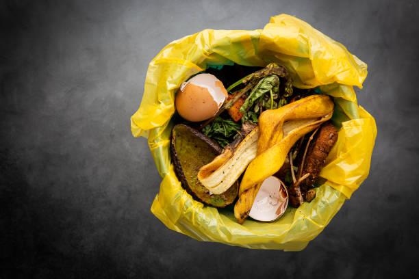 istock Organic food wastes 1303020859