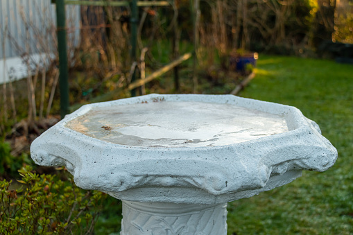 Frozen water and ice in a bird bath in a garden in the winter sun