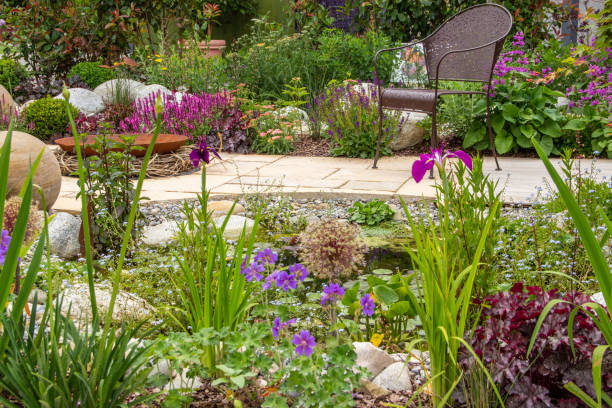 istock Beautiful water garden 1303021390