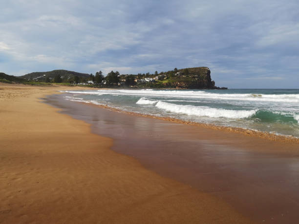 istock Avalon beach, New South Wales, Australia 1303022936