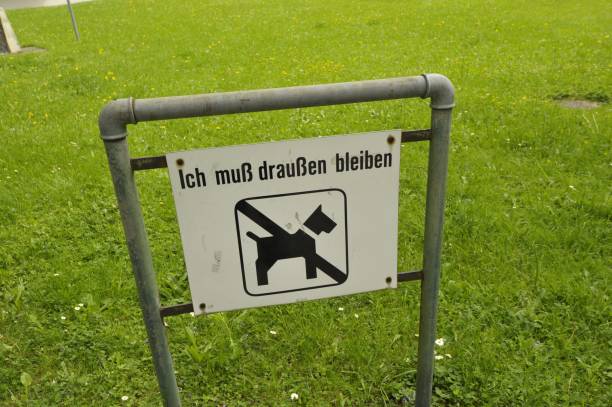 istock a no dogs allowed sign 1303023000