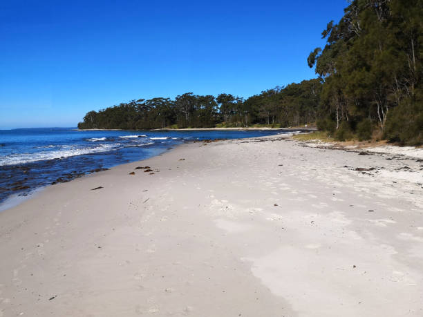 istock Beach in Jervis Bay Marine Park, Australia 1303023028