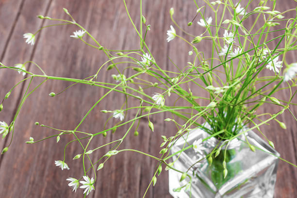 A bouquet of delicate white wild flowers in a glass vase on a wooden  background. Selective focus. Top view. Copy space.