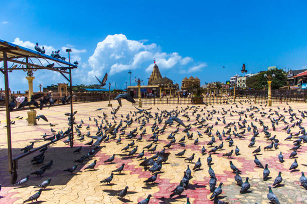 istock Somnath temple in Gujarat on a sunny day 1303026395