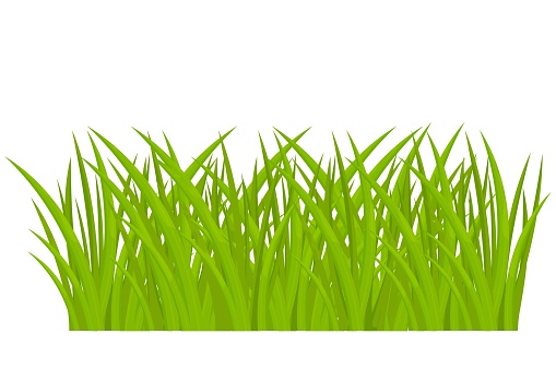 Cartoon Green Grass In Cartoon Style Isolated On White Background Stock  Vector Illustration Ui Game Asset Fairy Border Decoration Stock  Illustration - Download Image Now - iStock