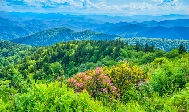 istock Summer mountain scenery in North Carolina mountains. 1303026965
