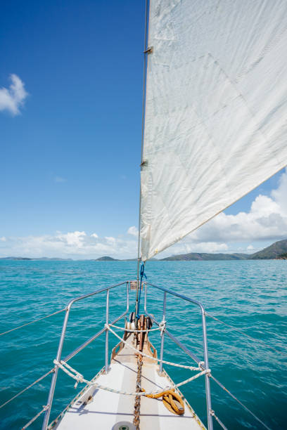 istock Sailboat on open water 1303027790