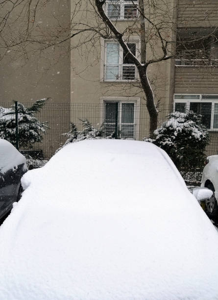 istock Cleaning car after snow storm 1303029873
