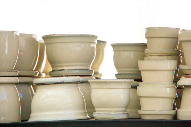 istock White ceramic pots in a greenhouse 1303030604