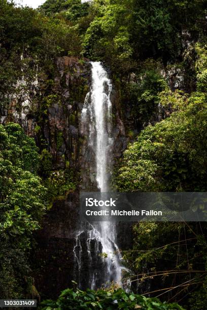 Waterfall In The Jungle Stock Photo - Download Image Now - Beauty, Color Image, Forest