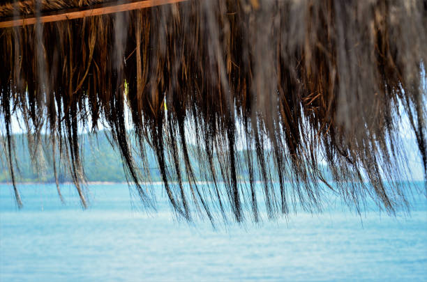 istock Imperata brasiliensis straw at kiosk on the beach 1303032278