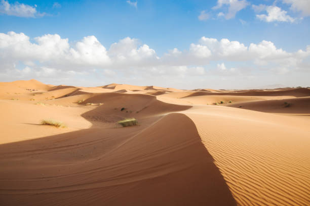 istock Sand dune in the Sahara desert 1303032556