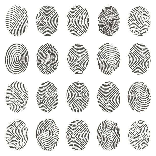 biometrische fingerabdrücke. menschliche grunge individuelle fingerabdrücke, biometrische daumenlinien und handzeichen. fingerabdruck-identifikationsvektor-illustrationssatz - thumbprint stock-grafiken, -clipart, -cartoons und -symbole