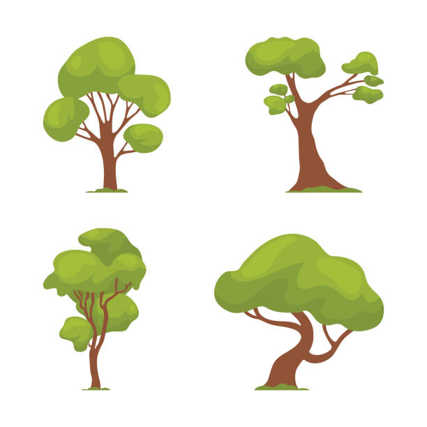 1,939 Eucalyptus Trees Cartoon Illustrations & Clip Art - iStock
