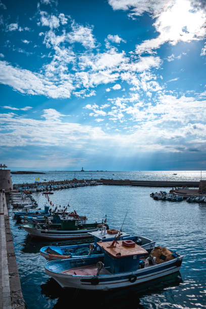 fantastic view on gallipoli port in puglia