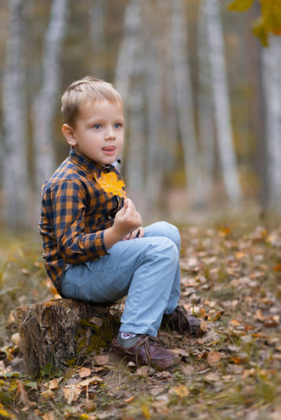 the little boy young researcher looking and exploring oak leaf in the fall park on a sunny day. preschool learning biology plant species outside. - oak leaf leaf oak tree spring imagens e fotografias de stock