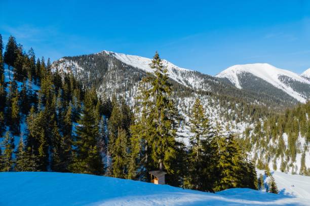 istock Landscape of Alps with Snow 1303040688