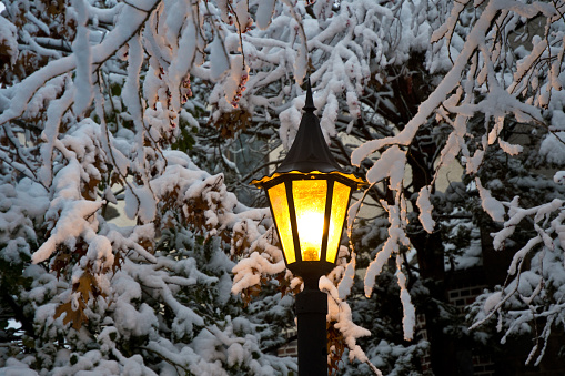 Snow and Lamppost