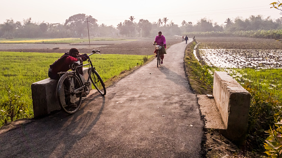 Murshidabad, West Bengal, India - January 2018: A man sitting with his bicycle on a rural road running through green fields in the district of Murshidabad.