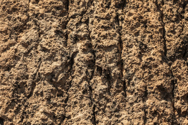 Close-up porous stone texture
