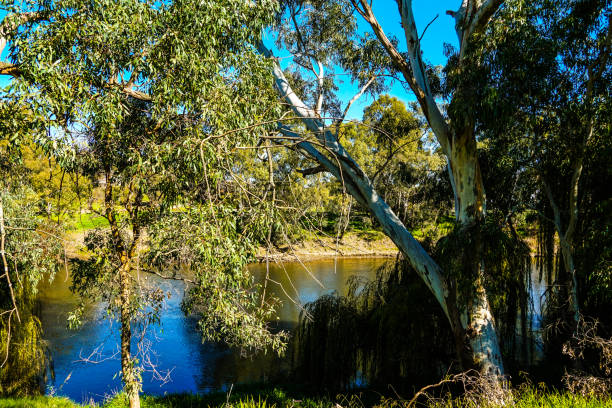 istock Gundagai, NSW, Australia 1303049024