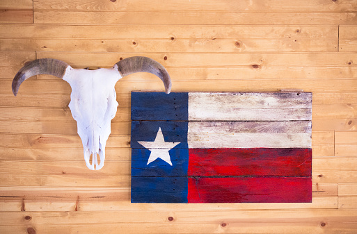 Cow head skeleton and Texas flag adorn wall of cabin in Texas.  Wall is made of knotty pine.  Texas flag is painted on old boards and hangs beside the cow head skeleton.  These items hang over a window in the Family room.