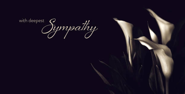 Sympathy card with calla lily flowers Sympathy card with calla lily flowers consoling stock pictures, royalty-free photos & images